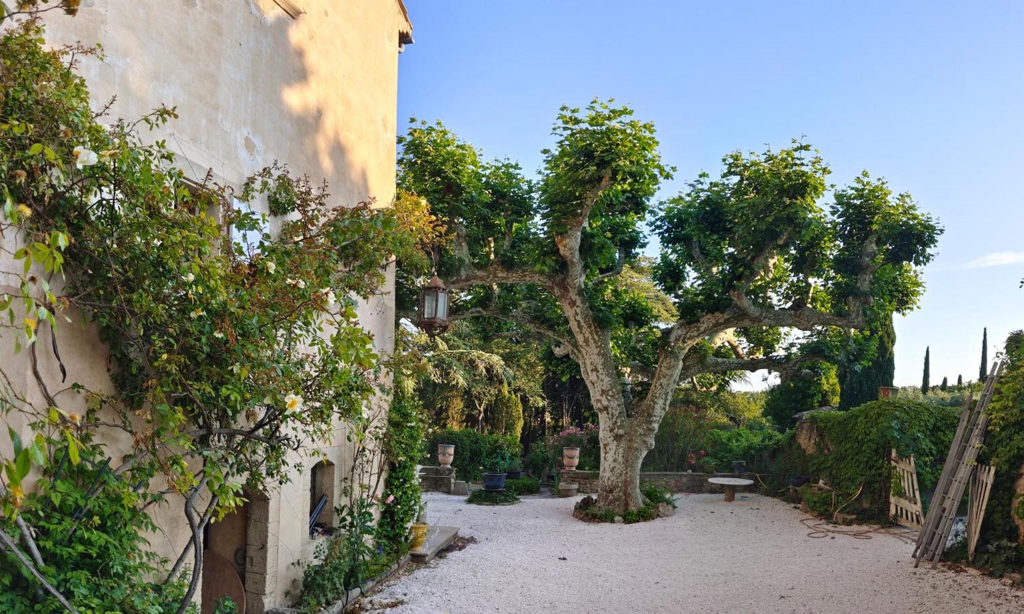 Rue Du Chateau A Cabrieres D'Avignon Bed & Breakfast エクステリア 写真